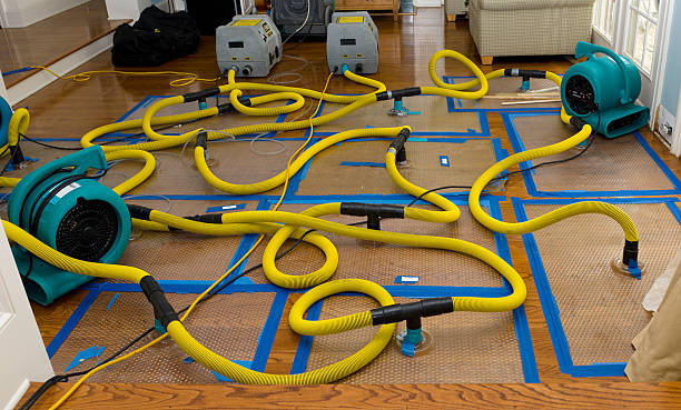 Professional Water Damage Repair technician working in Uhrichsville, OH